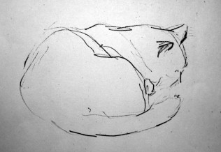 'Katze', Schnell-Skizze, 20 x 30