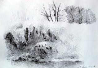 'Schopwasch' (Bullenkuhlen), Zeichnung-Graphit, 34 x 43